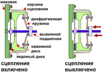 Как работает сцепление в автомобиле для начинающих?