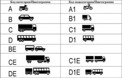 Какая категория нужна для управления автобусом?